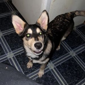 Meet your Posher, Katlyn